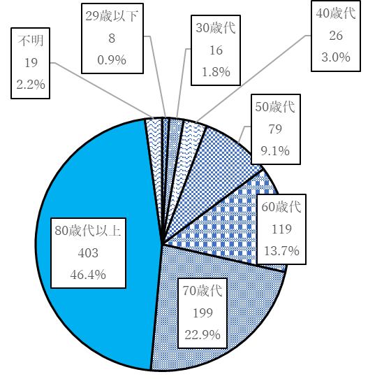 29歳以下　8件　0.9％、30歳代　16件　1.8％、40歳代　26件　3.0％、50歳代　79件　9.1％、60歳代　119件　13.7％、70歳代　199件　22.9％、80歳代以上　403件　46.4％、不明　19件　2.2％