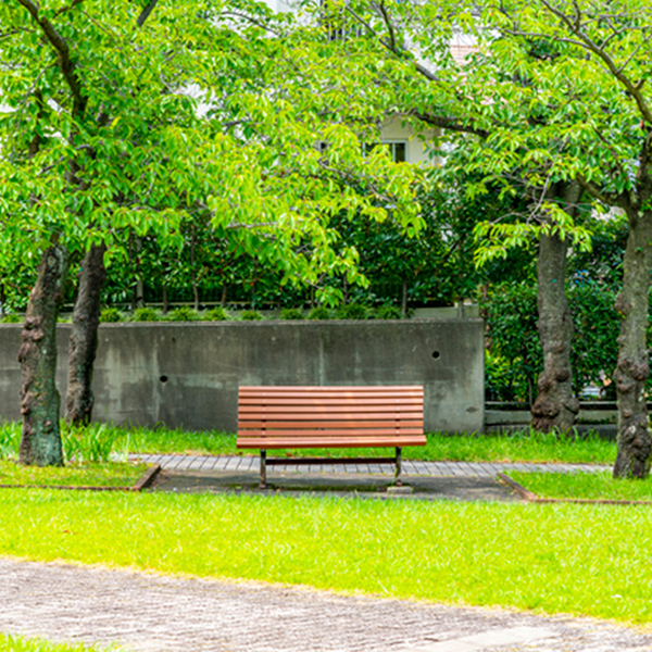 自然のある風景